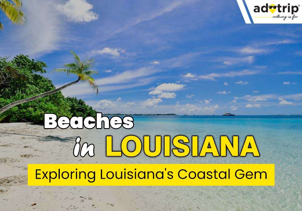 15 Famous Beaches In Louisiana